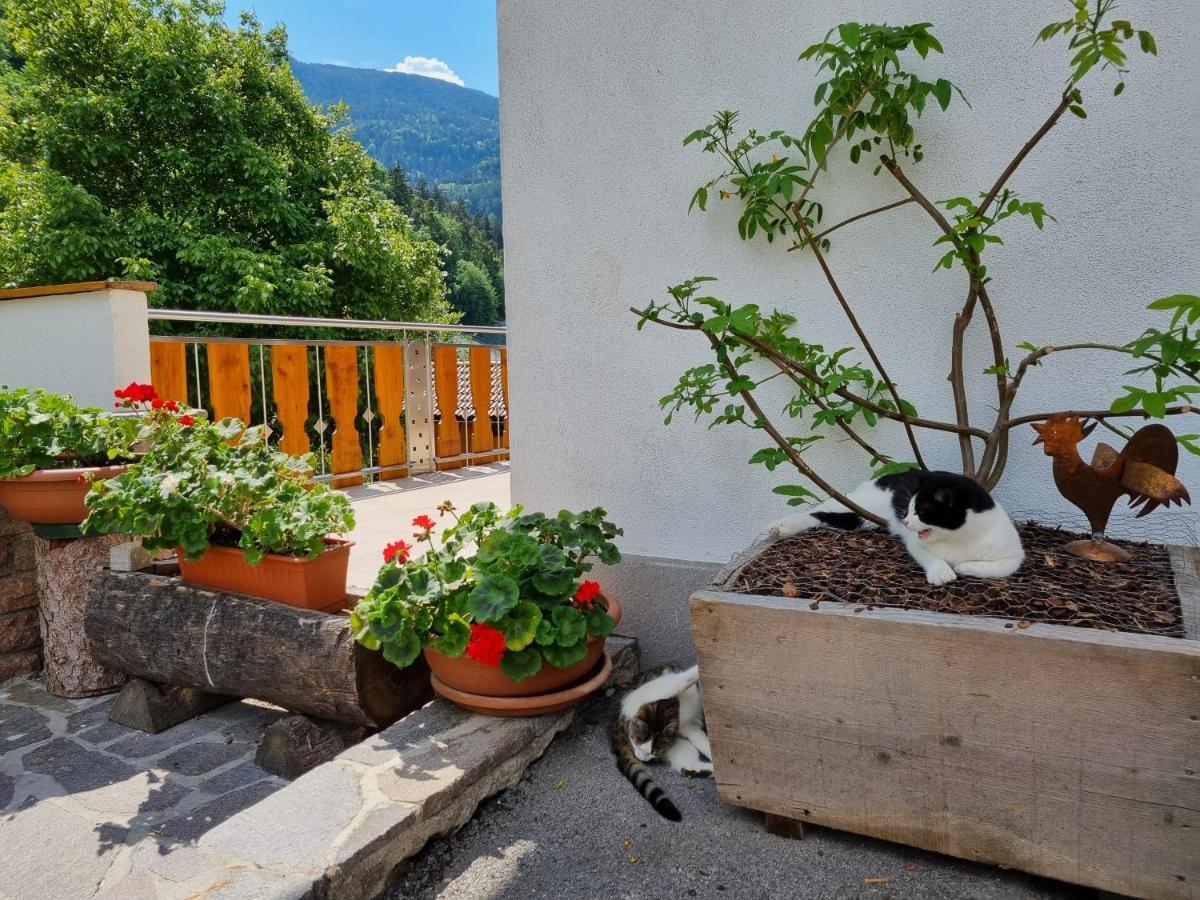 Ferienwohnungen Koflerhof Castelrotto Eksteriør bilde